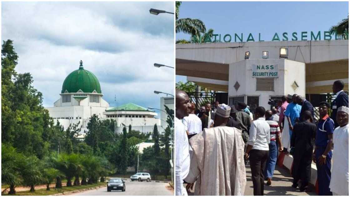 Abdul Olajide Abayomi: 34-Year-Old National Assembly Staff Collapses, Dies on Staircase Abdul Olajide Abayomi: 34-Year-Old National Assembly Staff Collapses, Dies on Staircase