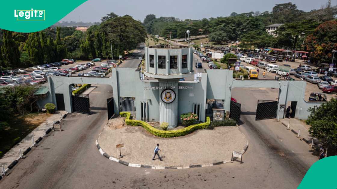 Joy as twin brother and sister graduate from University of Ibadan, scoring different grades