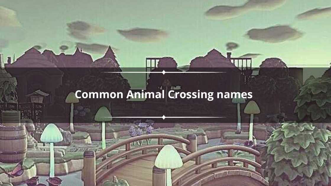 A photo of the mush forest leading into the residential island homes A photo of the mush forest leading into the residential island homes