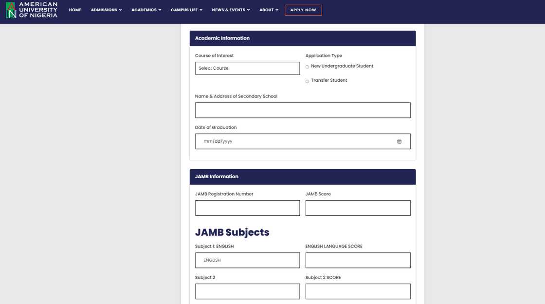 American University of Nigeria undergraduate program