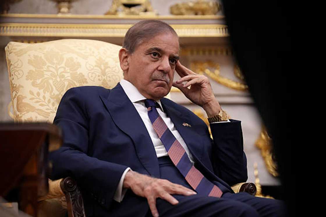 Firaministan Pakistan, Shehbaz Sharif