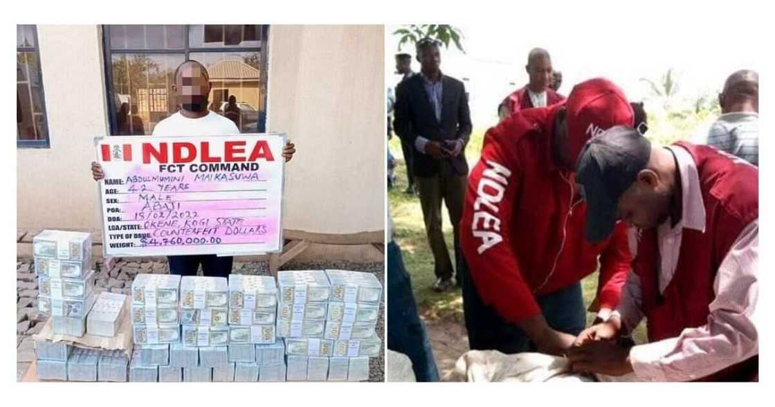 NDLEA nabs man for attempting put fake dollars into circulation NDLEA nabs man for attempting put fake dollars into circulation