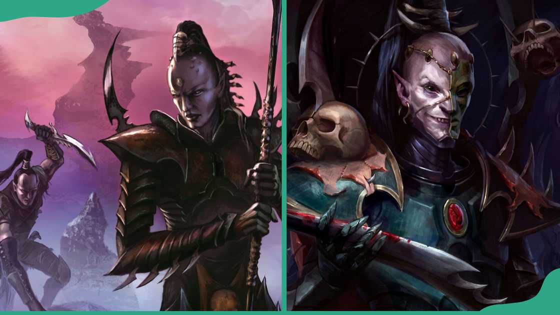 Drukhari (Dark Eldar) Drukhari (Dark Eldar)