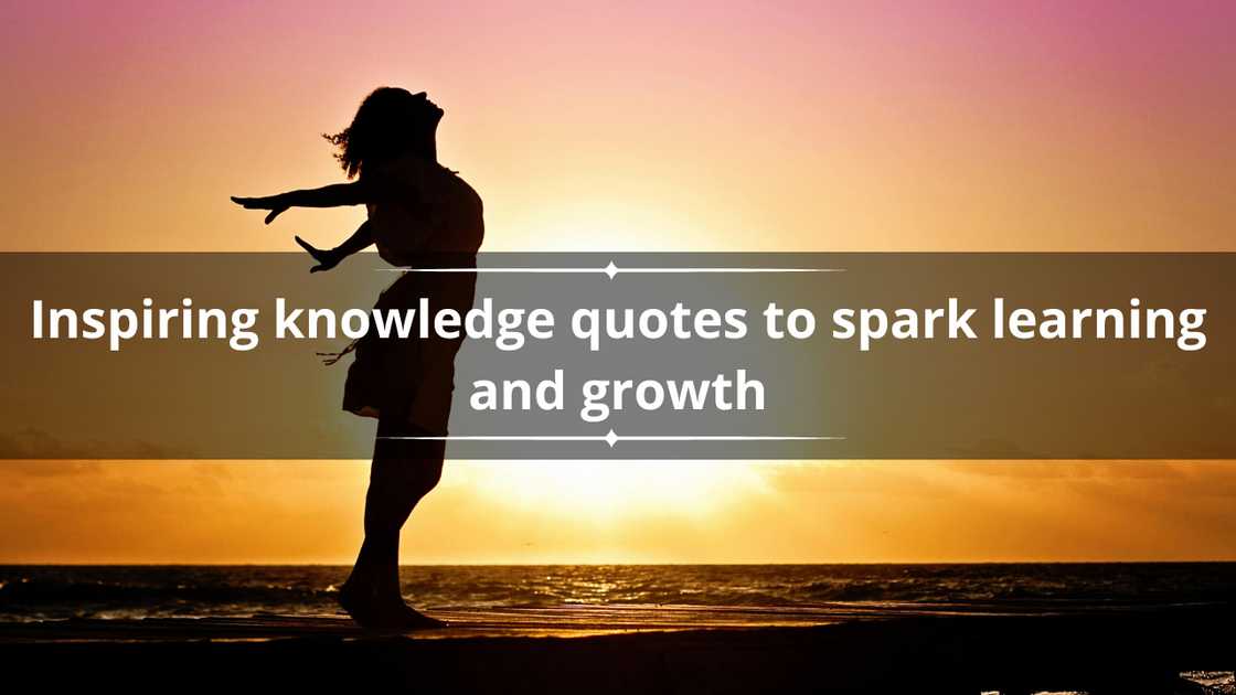 Inspiring knowledge quotes