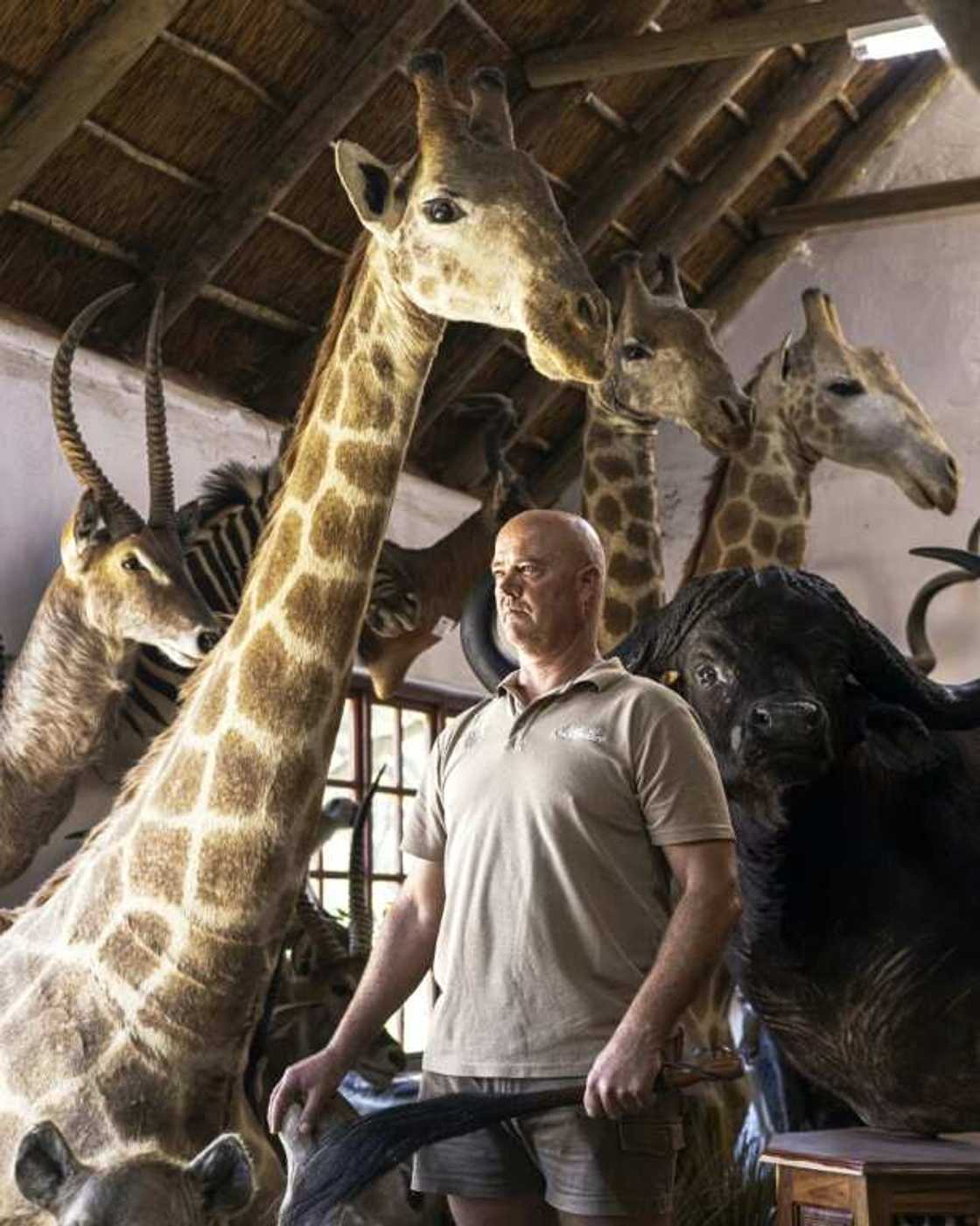 Stephen Nel owns the Camo Meat abattoir in Bela Bela Stephen Nel owns the Camo Meat abattoir in Bela Bela