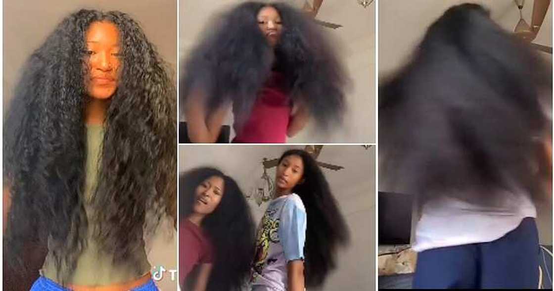 Natural hair, black sisters, long and full hair