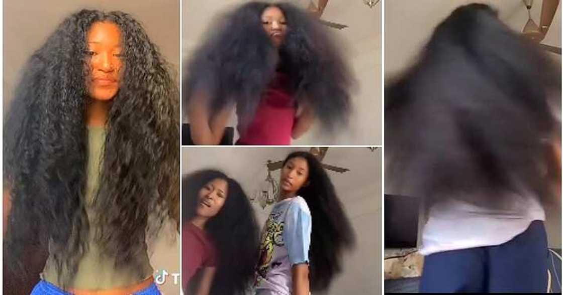 Natural hair, black sisters, long and full hair Natural hair, black sisters, long and full hair