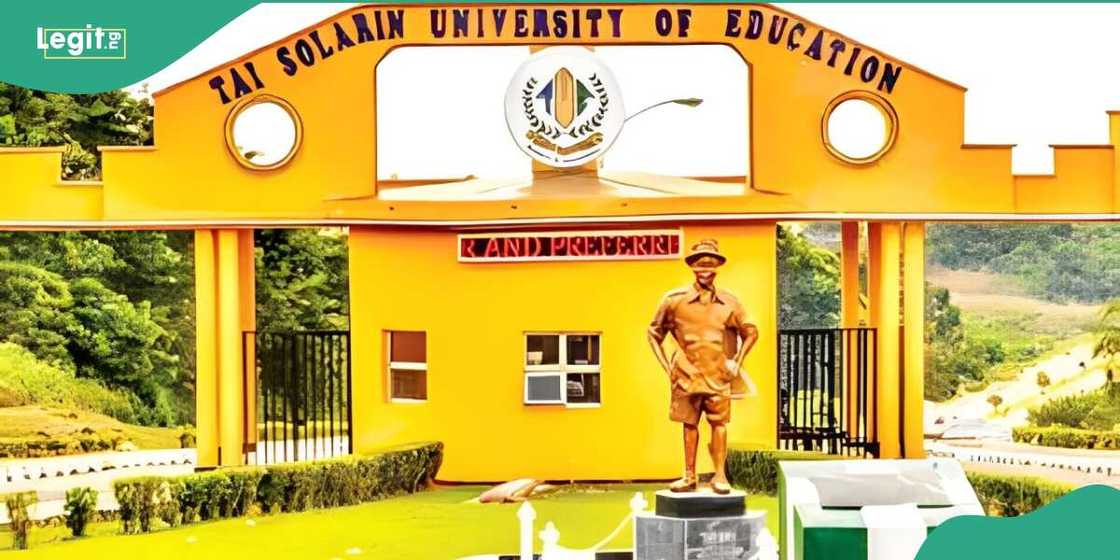 TASUED takes action as cultists reportedly kill student TASUED takes action as cultists reportedly kill student