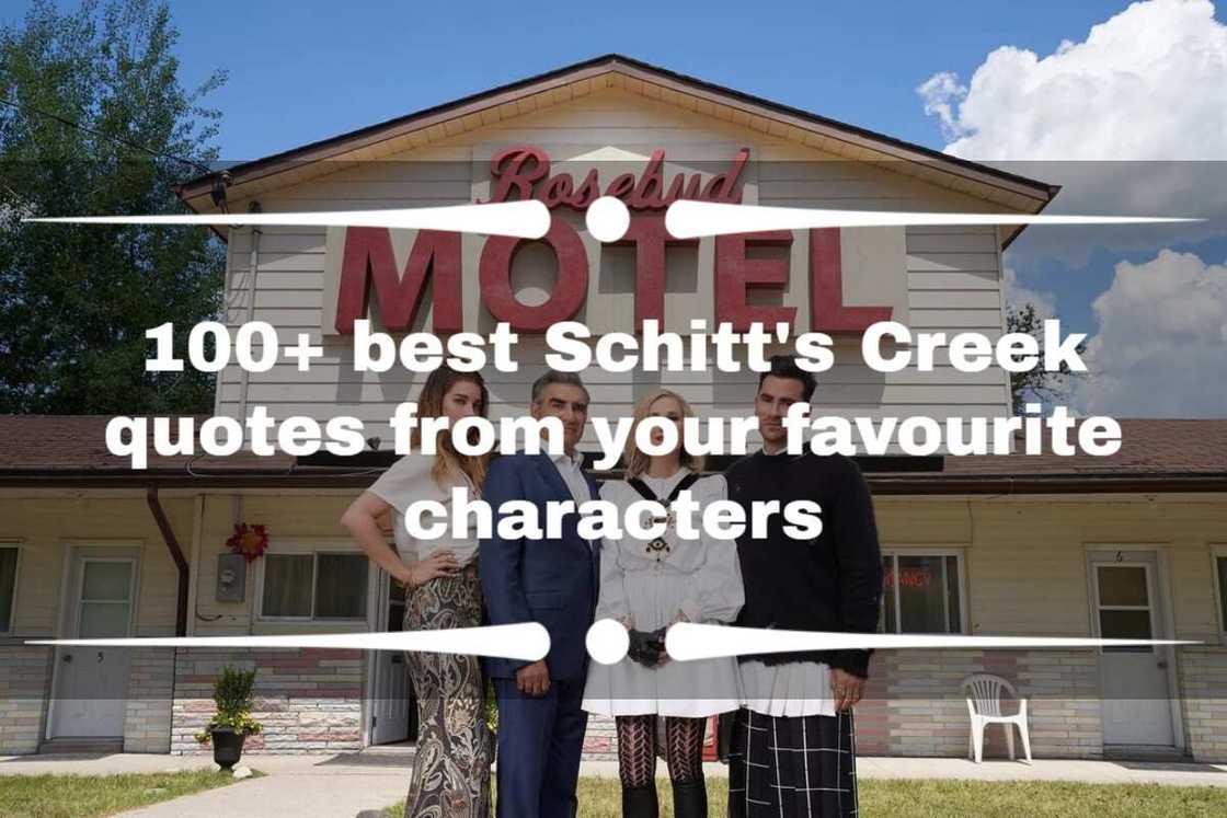 Schitt's Creek sayings