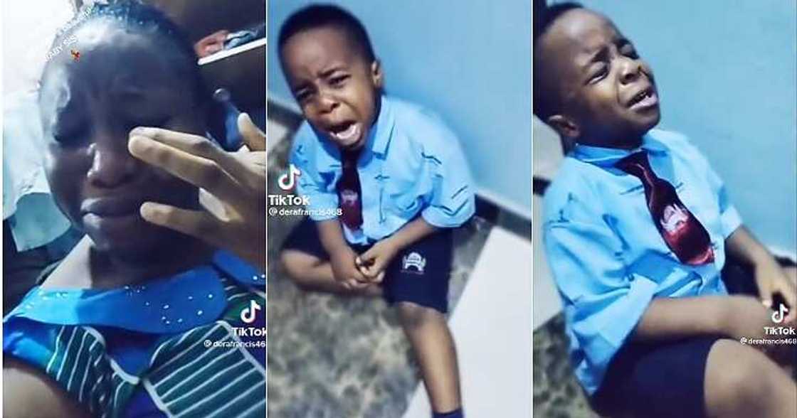 Little boy wants a sibling, baby brother or sister, heartbreaking video