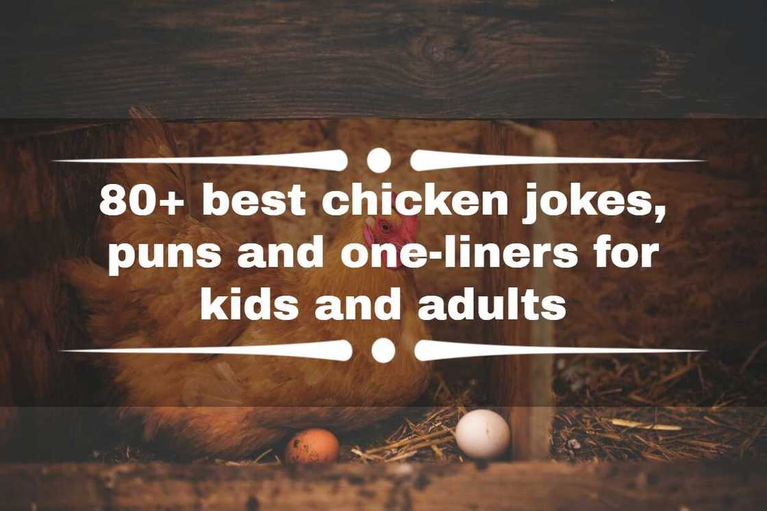 Chicken jokes Chicken jokes