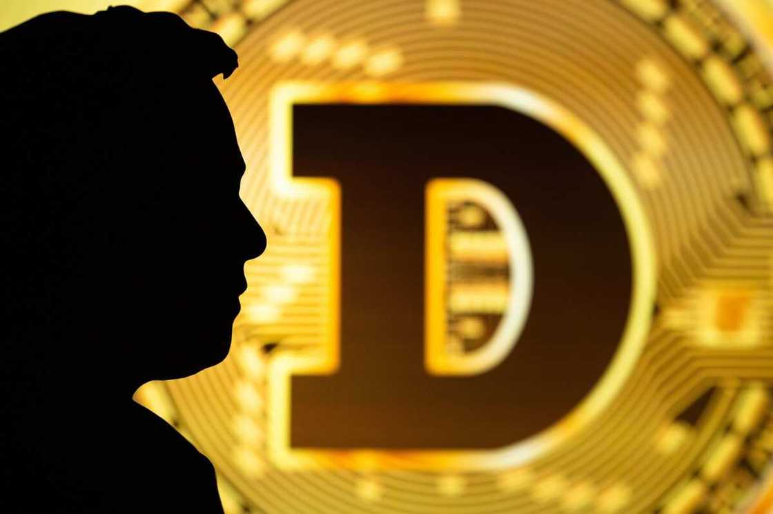 Dogecoin Price Prediction: DOGE Trading Volume Exceeds $500m as Market Cap Decreases