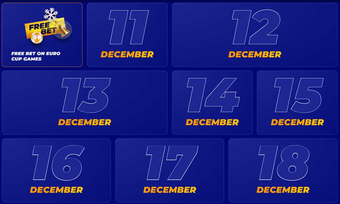 Countdown to the New Year with PariPesa’s Advent Calendar