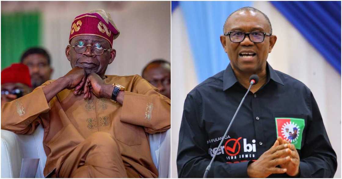 Peter Obi, Tinubu