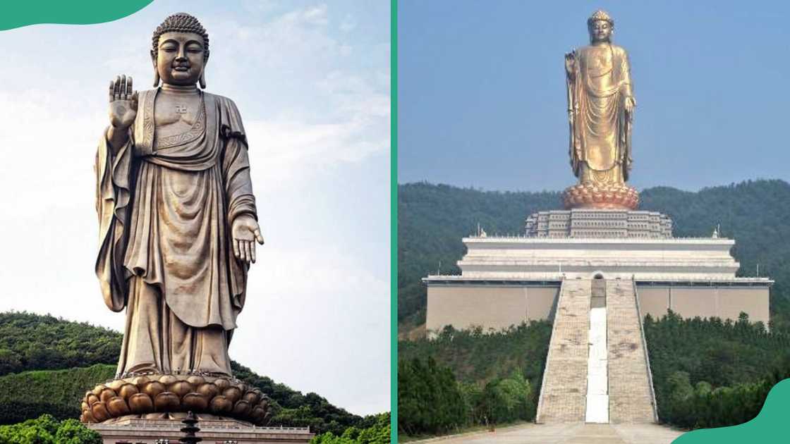 Spring Temple Buddha Spring Temple Buddha