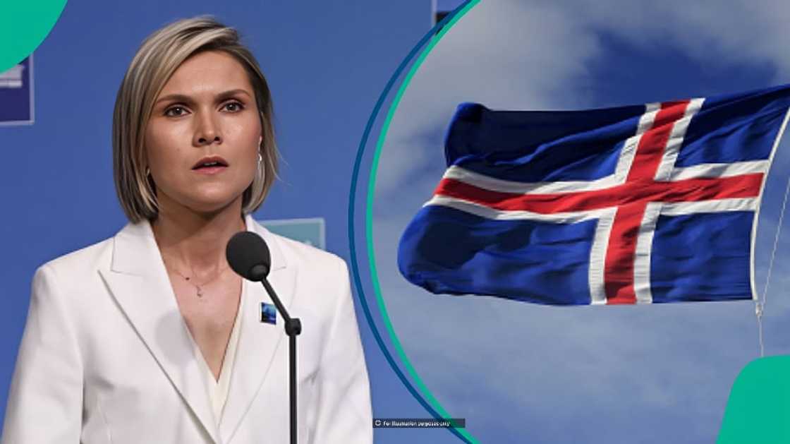 Iceland reveals 4 categories of people who may not take citizenship test