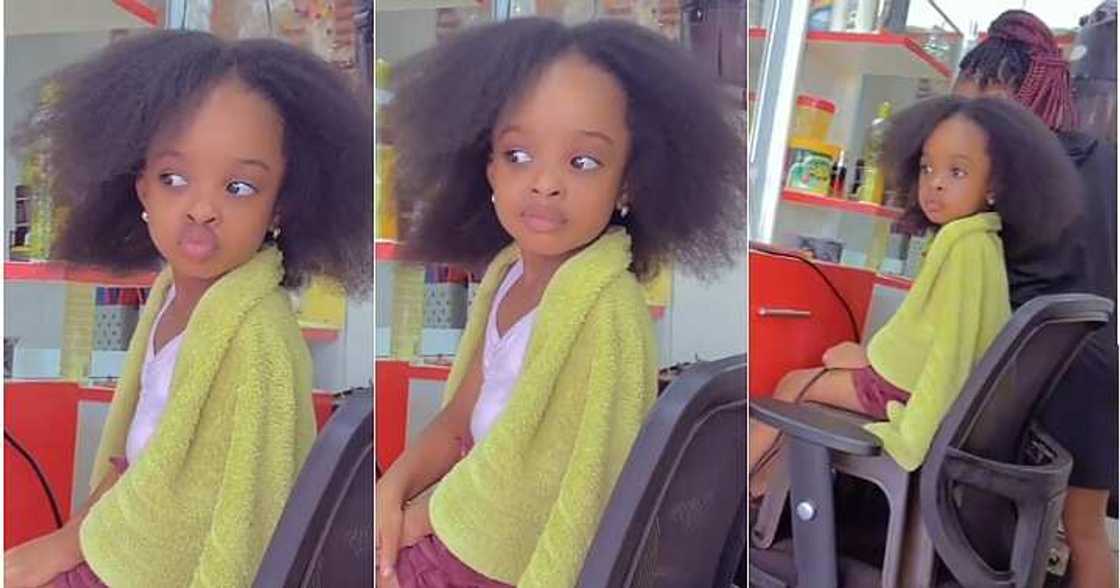 Little girl gossips with mum at salon, expert, funny video Little girl gossips with mum at salon, expert, funny video