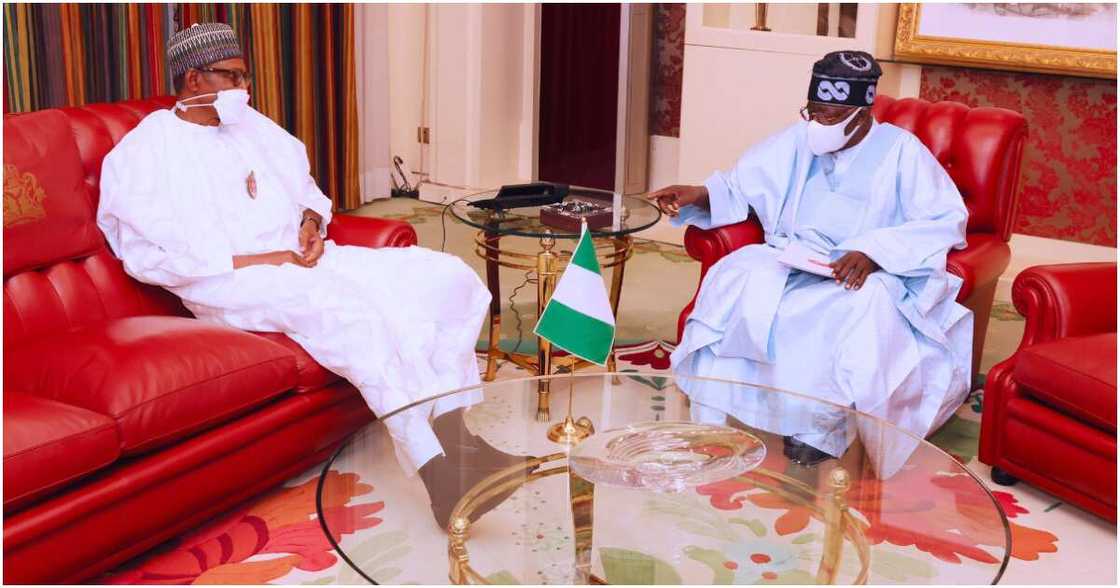 2023 presidential election, APC campaign team, Bola Tinubu, President Muhammadu Buhari 2023 presidential election, APC campaign team, Bola Tinubu, President Muhammadu Buhari