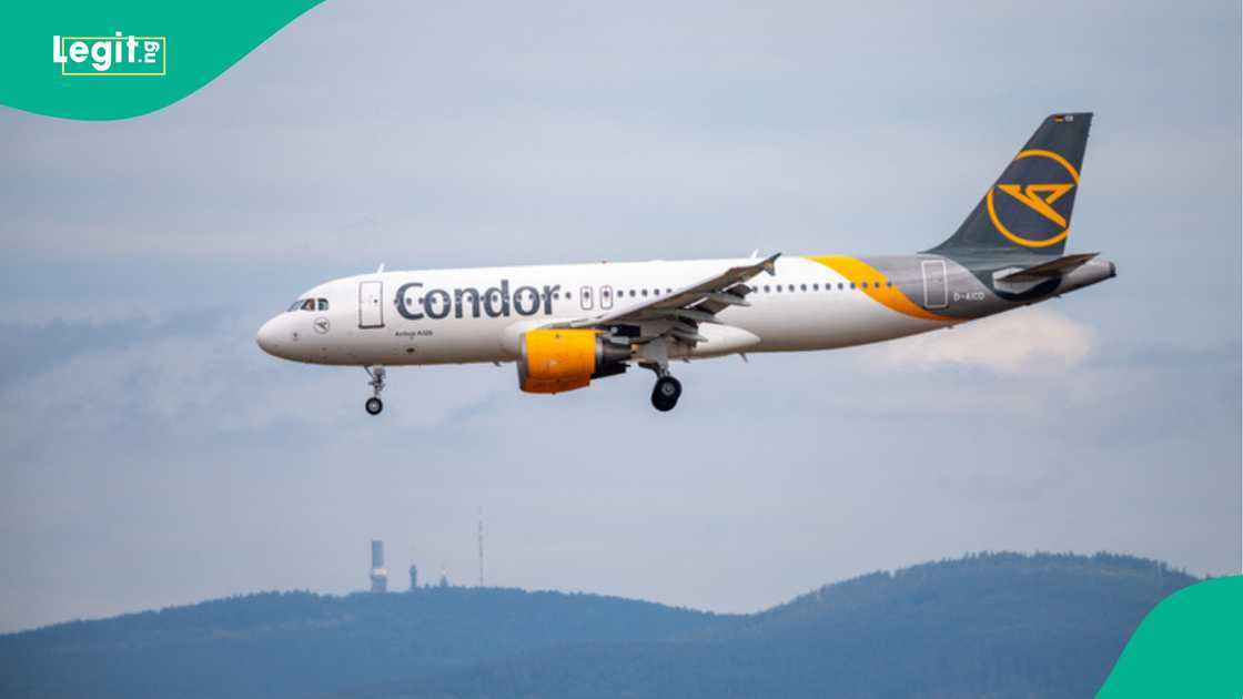 Passenger sends last SMS after thinking plane was about to crash.