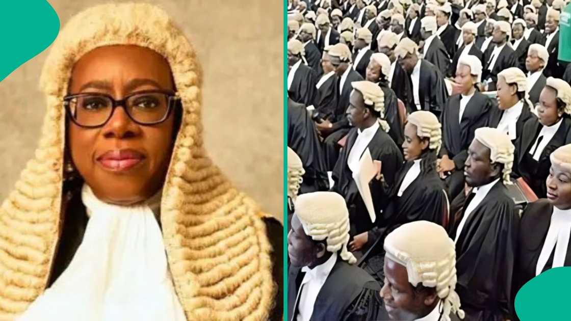 Chief Justice of Nigeria, Justice Kudirat Kekere-Ekun, has mandated an immediate halt to the use of 'Barrister' in official Supreme Court dealings. Chief Justice of Nigeria, Justice Kudirat Kekere-Ekun, has mandated an immediate halt to the use of 'Barrister' in official Supreme Court dealings.