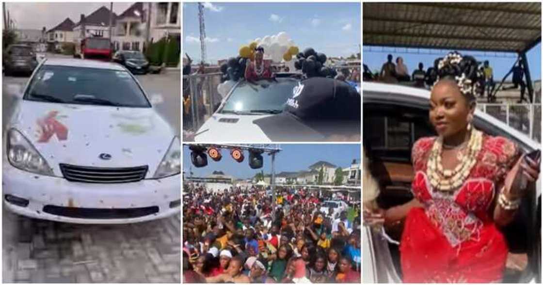 Papaya Ex throws party Papaya Ex throws party