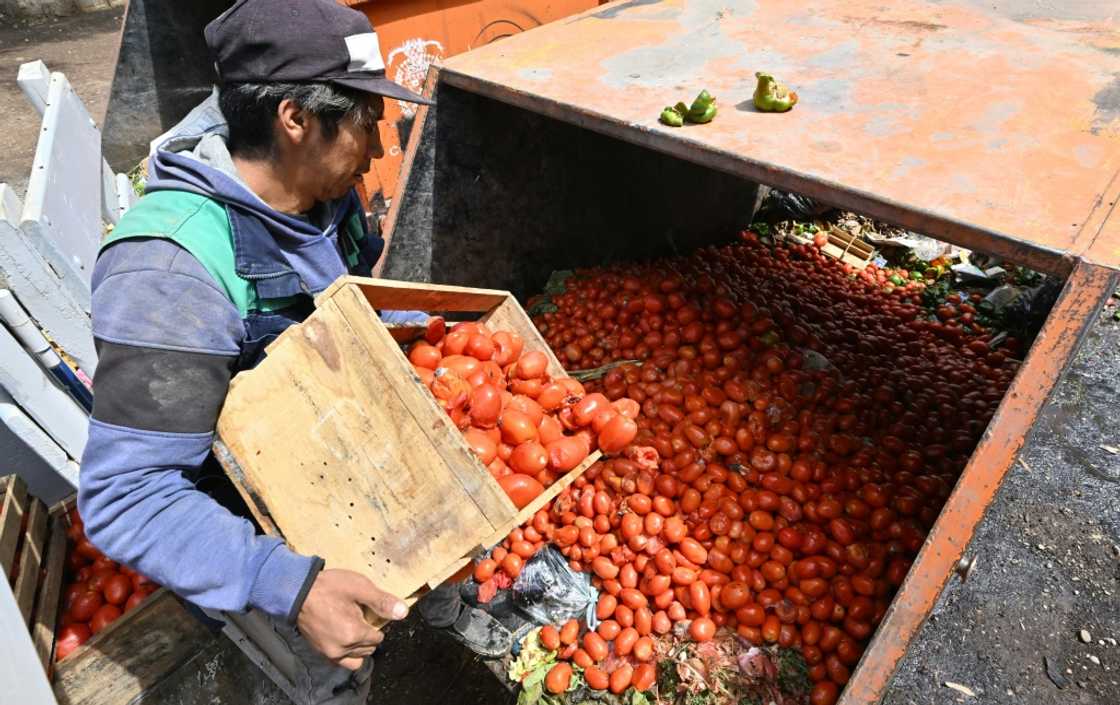 A man throws tomatoes, that arrived in bad condition due to roadblocks, into a bin of a market in Cochabamba, Bolivia, on October 30, 2024. Thirteen people were injured Tuesday in clashes between the Bolivian police and supporters of ex-president Evo Morales in the central town of Mairana, a doctor said. A man throws tomatoes, that arrived in bad condition due to roadblocks, into a bin of a market in Cochabamba, Bolivia, on October 30, 2024. Thirteen people were injured Tuesday in clashes between the Bolivian police and supporters of ex-president Evo Morales in the central town of Mairana, a doctor said.