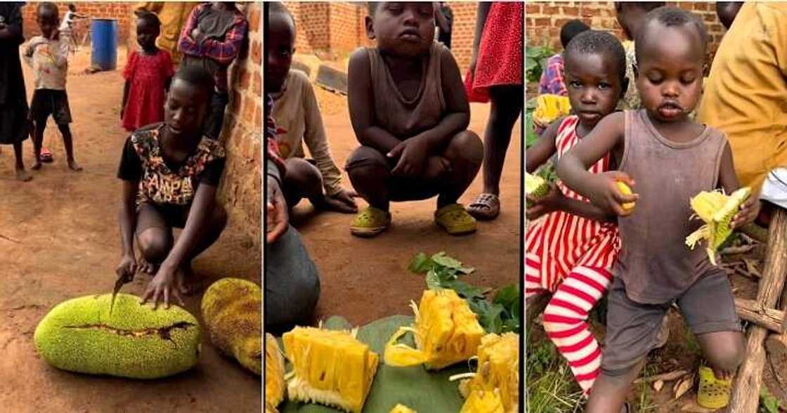 Children at orphanage eating jackfruit Children at orphanage eating jackfruit