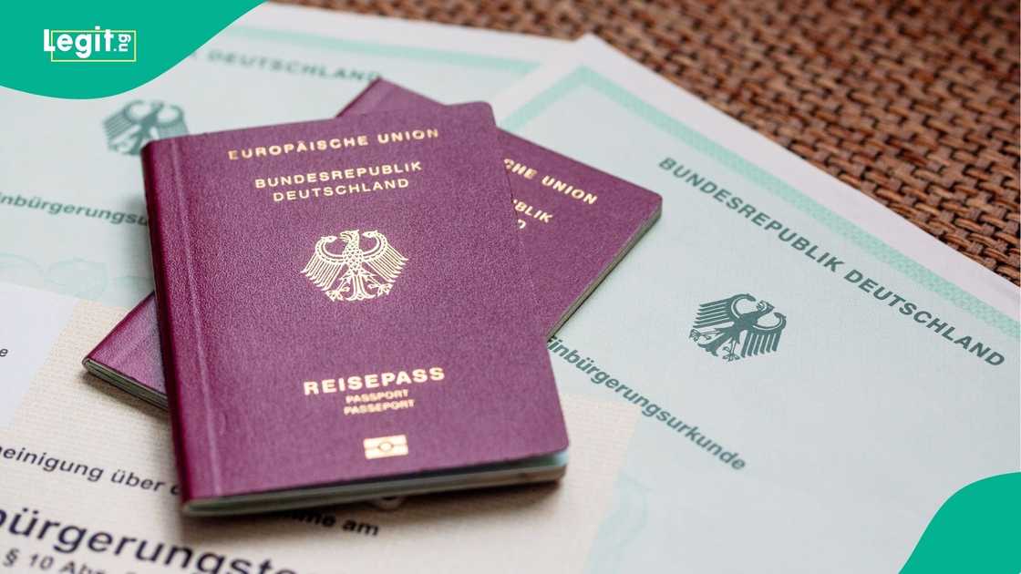 New visa booking guide highlights common mistakes Nigerians should avoid when applying New visa booking guide highlights common mistakes Nigerians should avoid when applying