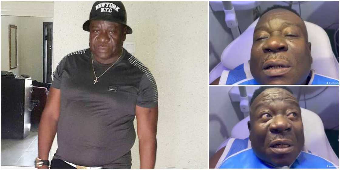 Mr Ibu Mr Ibu