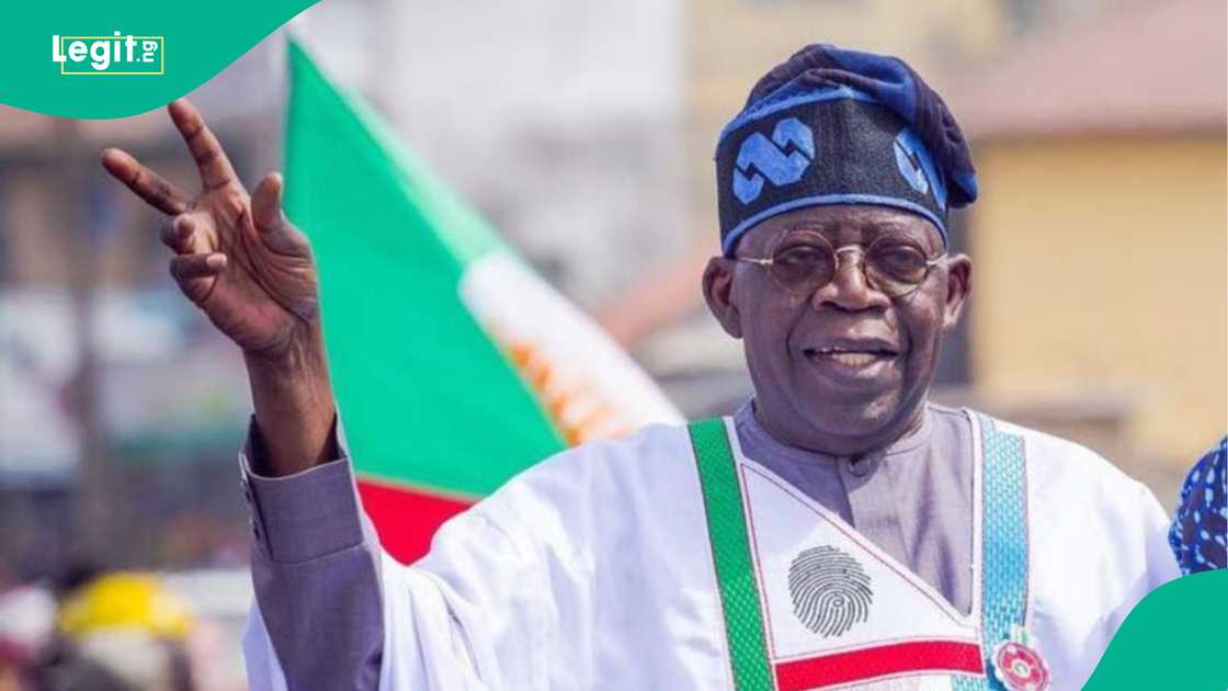 Shugaba Bola Tinubu ya lashe zaben fitar da gwani na APC a jihohi 19 zuwa yanzu.