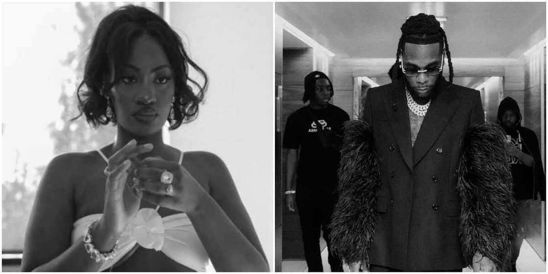 Tems wins Grammy Tems wins Grammy