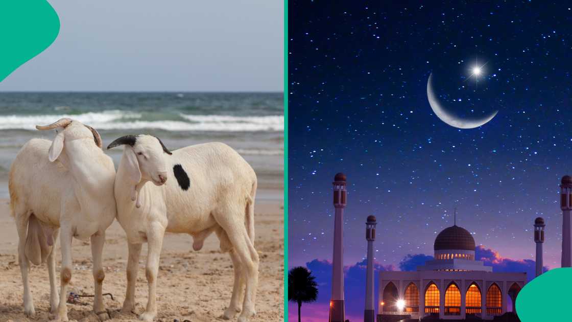 Nigeria observes Eid Al-Adha public holiday with charity and community spirit. Nigeria observes Eid Al-Adha public holiday with charity and community spirit.