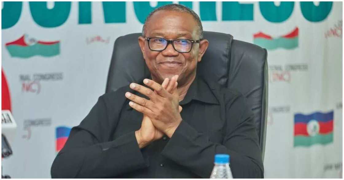 Peter Obi/Peter Obi news/Peter Obi news today/Japa