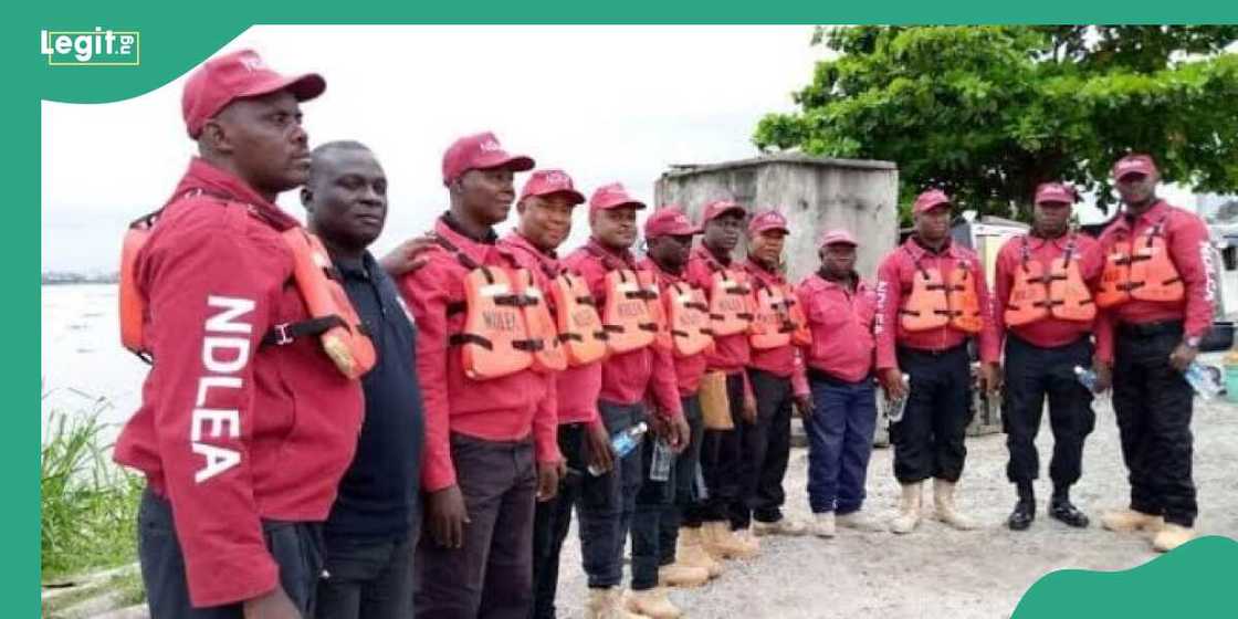 Borno youths, NDLEA