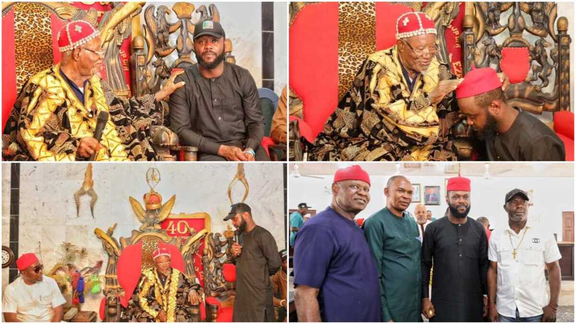 Seyi Tinubu/Bola Tinubu/APC/PDP/2023 Election/Peter Obi/Anambra/Charles Chukwuma Soludo/South East/Igbo Seyi Tinubu/Bola Tinubu/APC/PDP/2023 Election/Peter Obi/Anambra/Charles Chukwuma Soludo/South East/Igbo