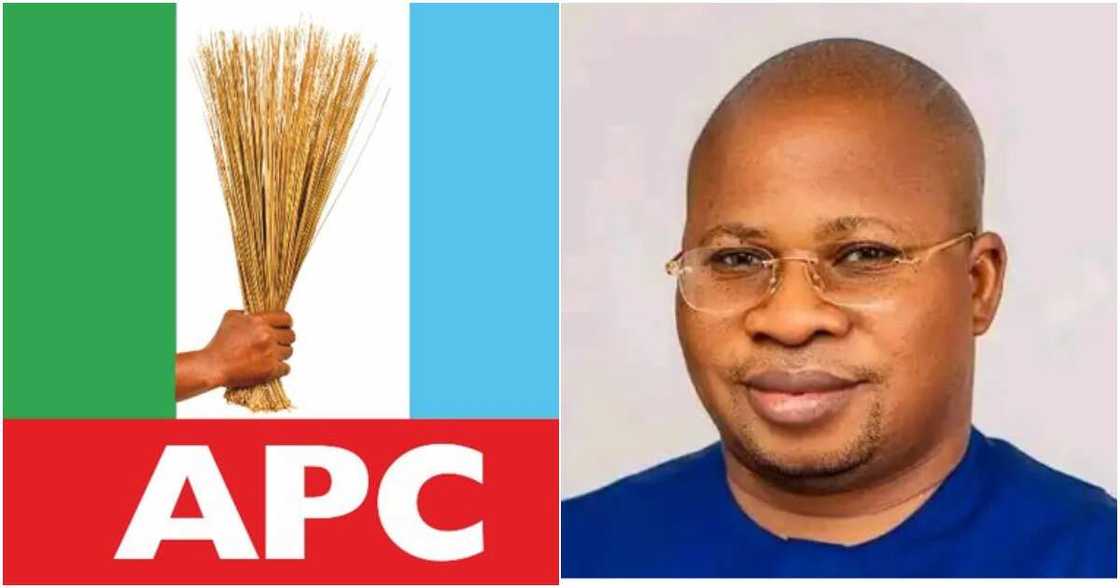 Appeal Court, David Jimkuta, APC Taraba South Senatorial Candidate, 2023 general election