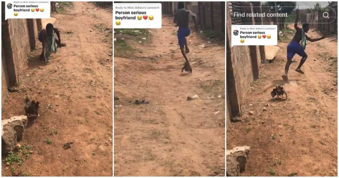 Young man, fowl, ran Young man, fowl, ran