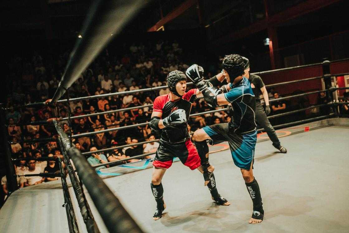Two fighters fighting inside a ring Two fighters fighting inside a ring