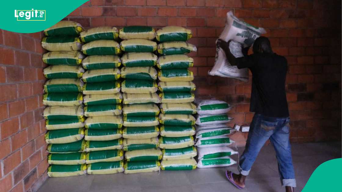 The policy shifts that pushed Nigeria’s rice prices to record highs