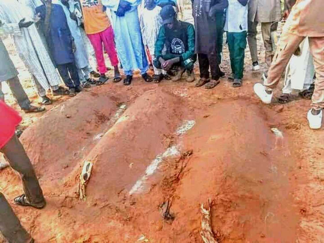 Amarya ta kashe 'yayan kishiyarta 3 da guba a jihar Yobe, an damke ta Amarya ta kashe 'yayan kishiyarta 3 da guba a jihar Yobe, an damke ta