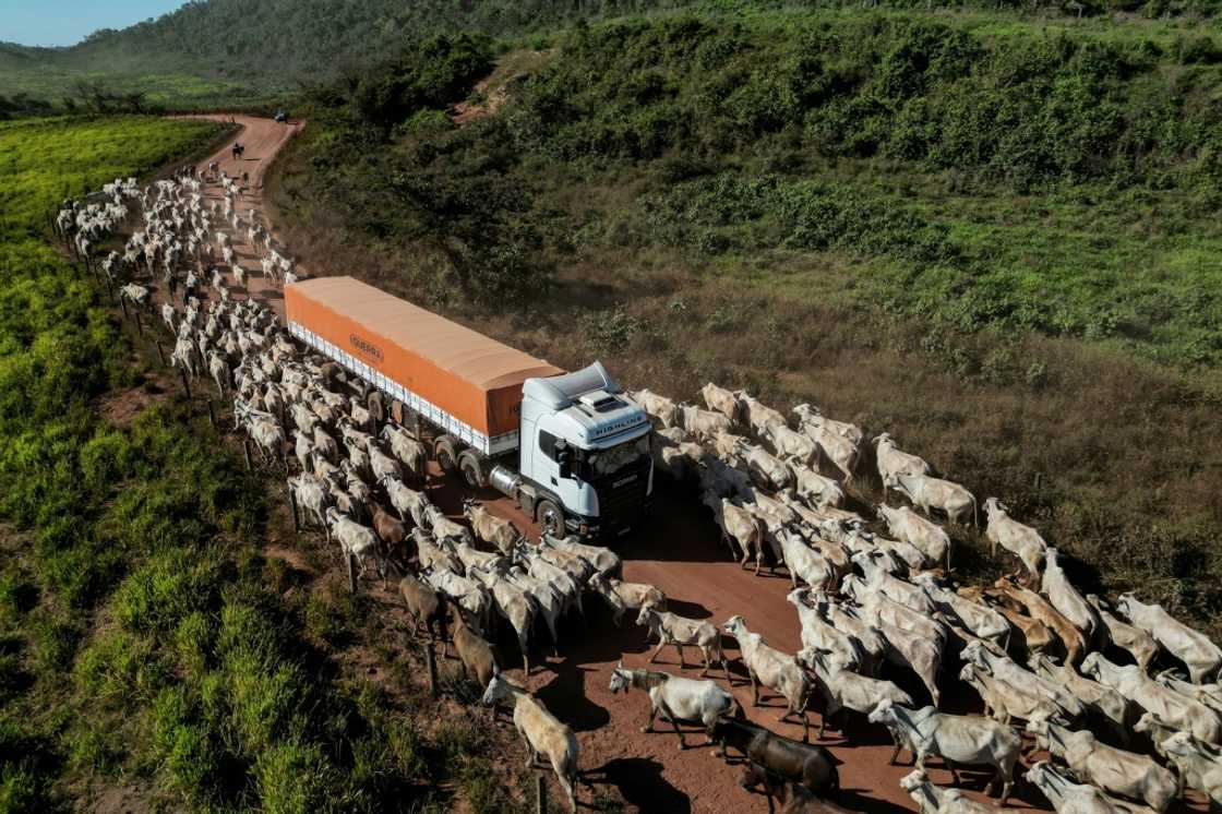 South America's agriculture sector stands to benefit substantially from the free trade agreement South America's agriculture sector stands to benefit substantially from the free trade agreement