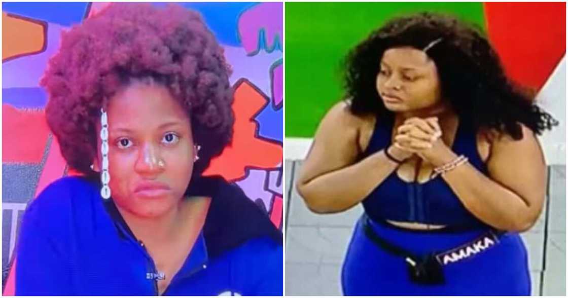 BBNaija's Phyna and Amaka's friendship BBNaija's Phyna and Amaka's friendship