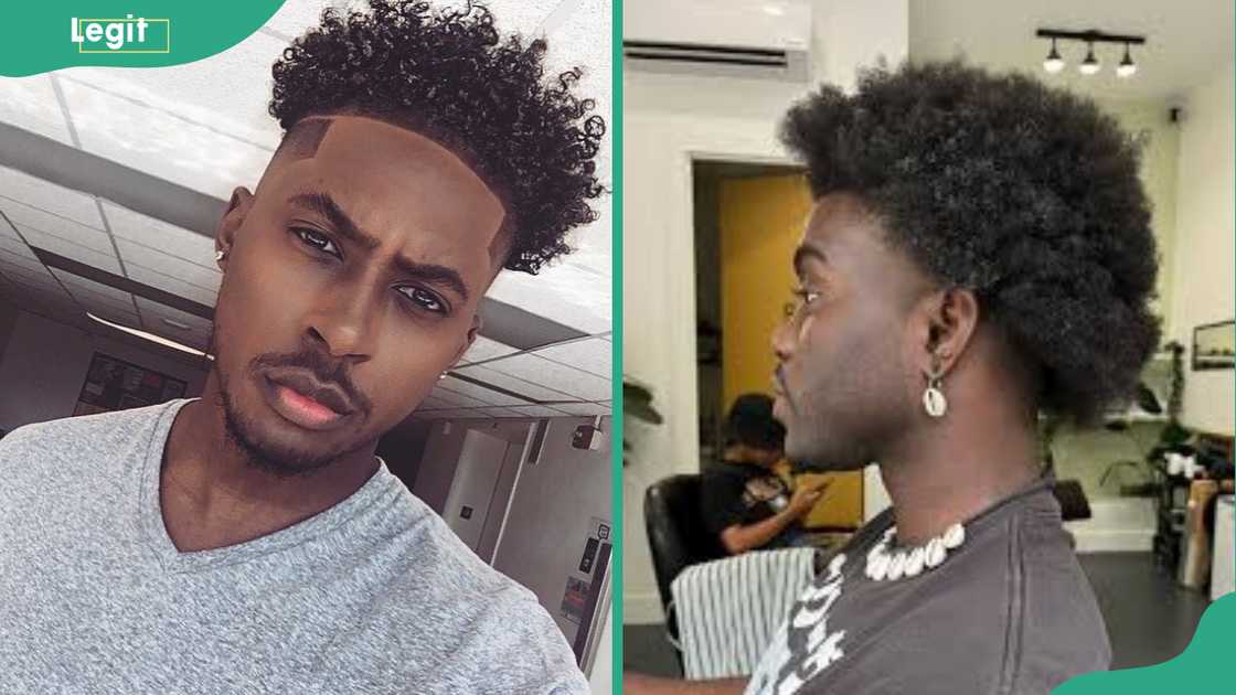 Afro male hairstyle