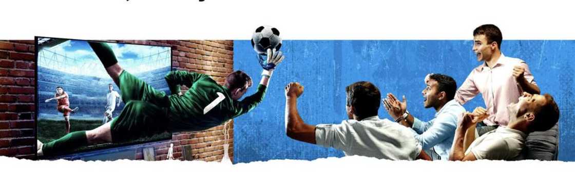 World Cup Marketing Trends: What Fans Should Watch Out For World Cup Marketing Trends: What Fans Should Watch Out For