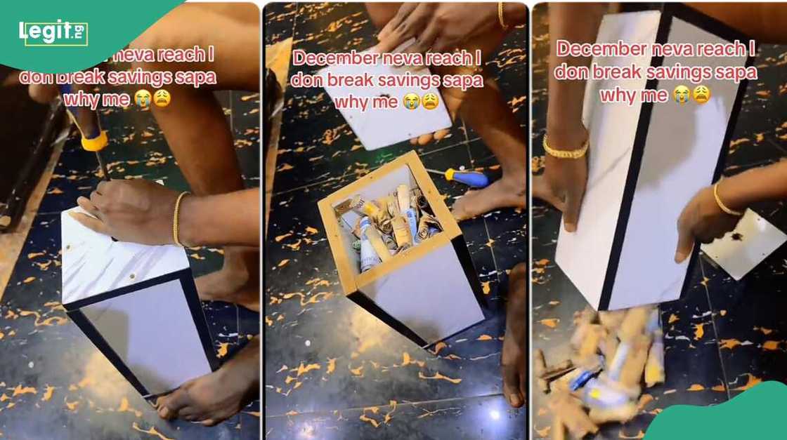 Photo of the piggybank. Photo of the piggybank.