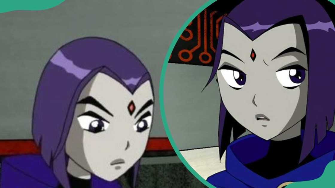 Raven from the Titans Raven from the Titans