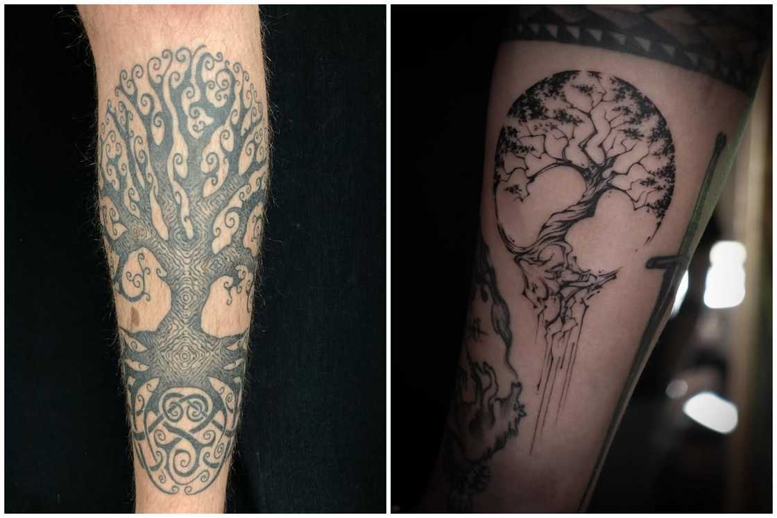 Yggdrasil tattoo