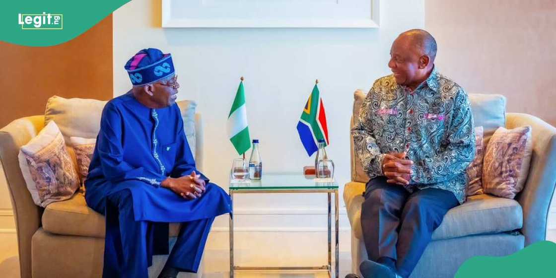 Islamic group urges Nigeria to join South Africa’s lawsuit against Israel Islamic group urges Nigeria to join South Africa’s lawsuit against Israel