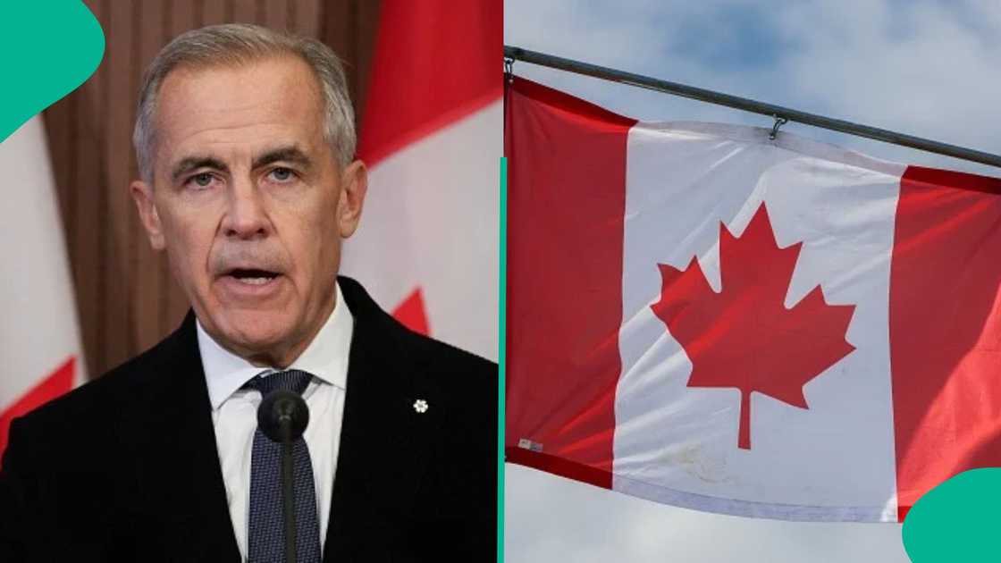 Canada’s intelligence agency advertises IT jobs paying over $106,000, lists 6 requirements