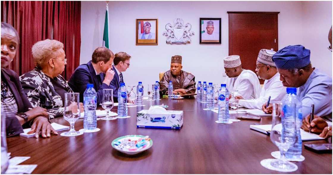 Vice-President Kashim Shettima, Bola Tinubu